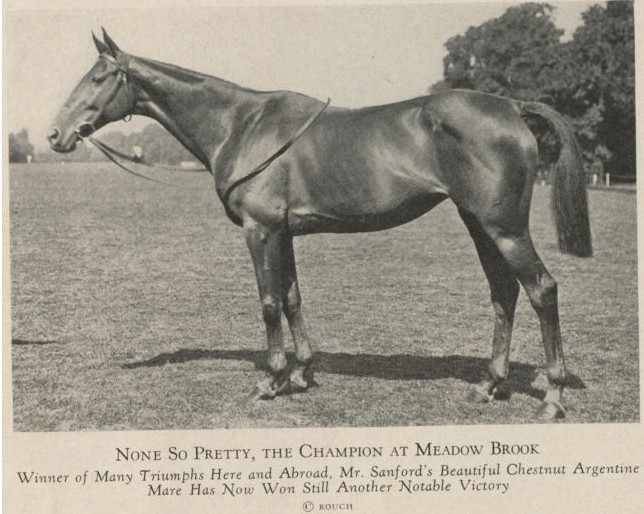 Polo Hall of Fame Announces 2023 Inductees