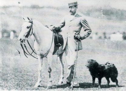 History of Polo: Evolution of Horses