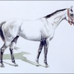 Polo Museum and Hall of Fame Horses to Remember Alabama