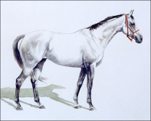 alabama_featured Polo Museum and Hall of Fame Horses to Remember Alabama