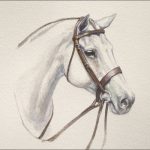 Polo Museum and Hall of Fame Horses to Remember Brown Fern