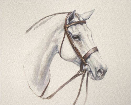 brown_fern_feature Polo Museum and Hall of Fame Horses to Remember Brown Fern