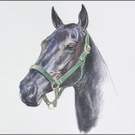 Polo Museum and Hall of Fame Horses to Remember Burrito