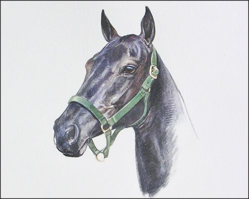 burrito_feature Polo Museum and Hall of Fame Horses to Remember Burrito