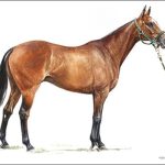 Polo Museum and Hall of Fame Horses to Remember califa