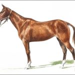 Polo Museum and Hall of Fame Horses to Remember chicken