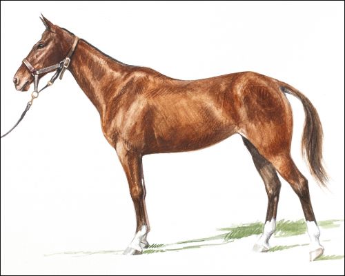 chicken_feature Polo Museum and Hall of Fame Horses to Remember chicken