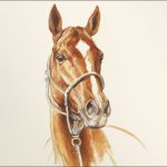 Polo Museum and Hall of Fame Horses to Remember Chips Royal