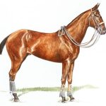 Polo Museum and Hall of Fame Horses to Remember Conover