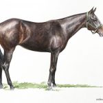 Polo Museum and Hall of Fame Horses to Remember Cynthia Lola