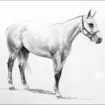 Polo Museum and Hall of Fame Horses to Remember Delta Dawn