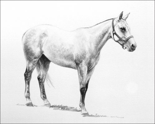delta_dawn_feature Polo Museum and Hall of Fame Horses to Remember Delta Dawn