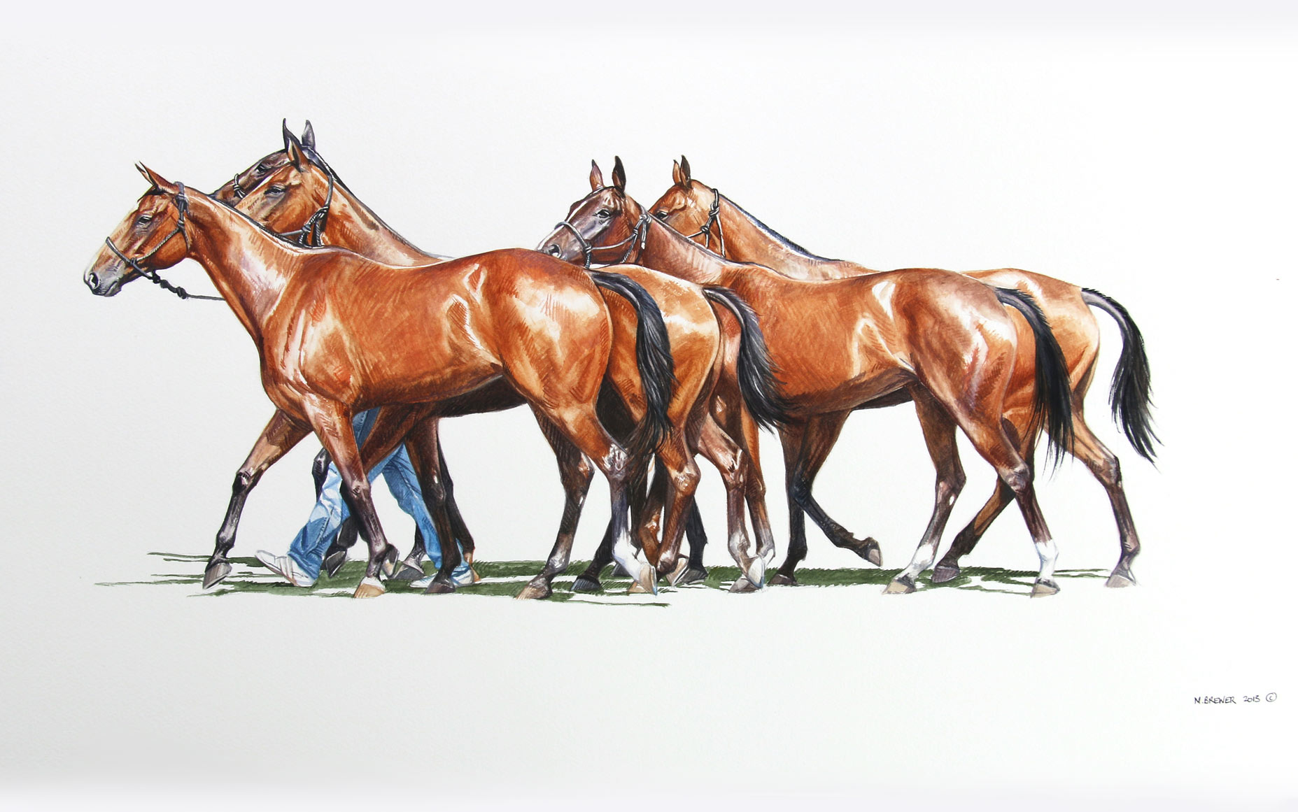 Donate to the Museum of Polo and Hall of Fame