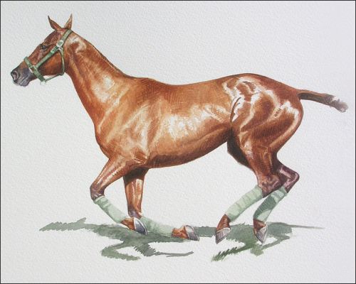 electric_charge_feature Polo Museum and Hall of Fame Horses to Remember Electric Charge
