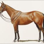 Polo Museum and Hall of Fame Horses to Remember Fairy Story