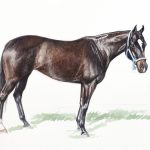 Polo Museum and Hall of Fame Horses to Remember Hale Bopp