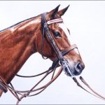 Museum of Polo Horses to Remember Inductee Cat a Joy