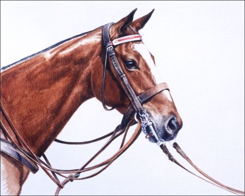 horses-to-remember-cat-a-joy-feature Museum of Polo Horses to Remember Inductee Cat a Joy