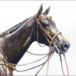 Museum of Polo Horses to Remember Inductee Chica Boom