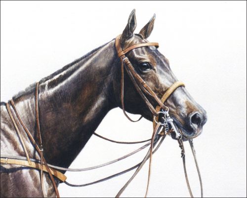 horses-to-remember-chica-boom-feature Museum of Polo Horses to Remember Inductee Chica Boom