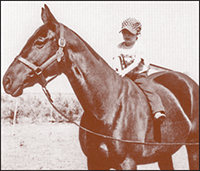 Museum of Polo Horses to Remember Inductee Chica Boom
