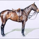 Polo Museum and Hall of Fame Horses to Remember Kaliman