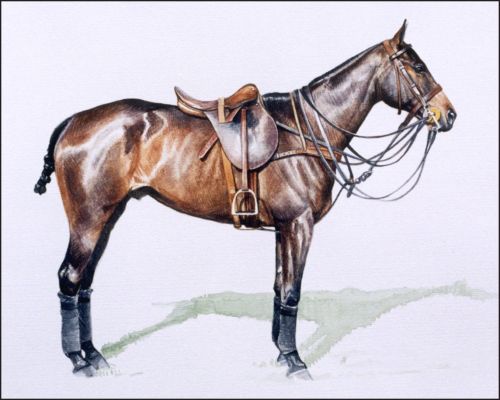 horses-to-remember-kaliman-feature Polo Museum and Hall of Fame Horses to Remember Kaliman