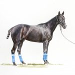 Polo Museum and Hall of Fame Horses to Remember Wembley