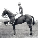 Polo Museum and Hall of Fame Horses to Remember Jacobs