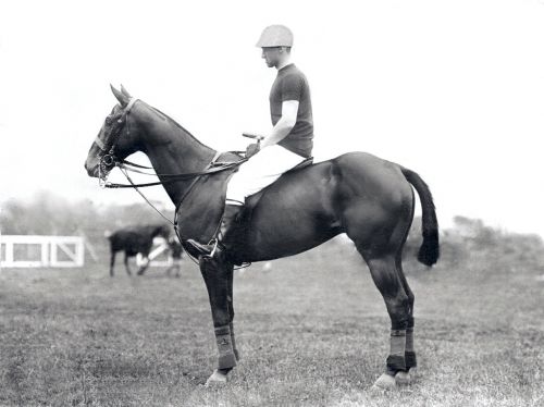 jacobs_and_milburn_features Polo Museum and Hall of Fame Horses to Remember Jacobs