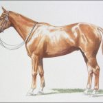 Polo Museum and Hall of Fame Horses to Remember Jupiter