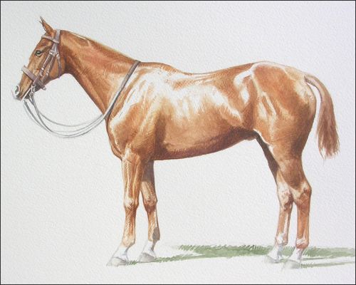 jupiter_feature Polo Museum and Hall of Fame Horses to Remember Jupiter