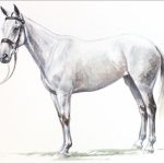 Polo Museum and Hall of Fame Horses to Remember Katrina