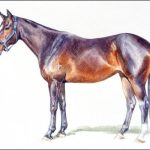 Polo Museum and Hall of Fame Horses to Remember Khaki