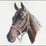 Polo Museum and Hall of Fame Horses to Remember Little Lou Dee