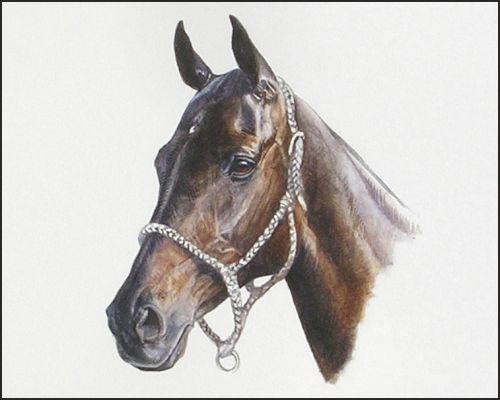 little_lou_dee_feature Polo Museum and Hall of Fame Horses to Remember Little Lou Dee