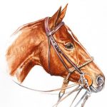 Polo Museum and Hall of Fame Horses to Remember Mr.Polo