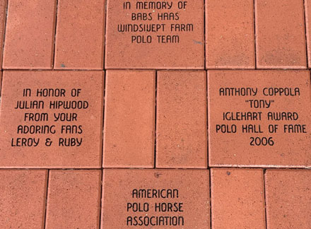 Example of Polo Museum Recognition Bricks