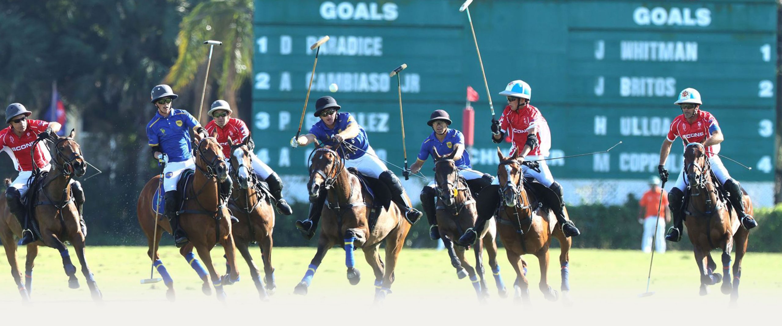 Museum of Polo and Hall of Fame | Florida Polo Museum