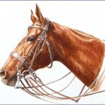 Polo Museum and Hall of Fame Horses to Remember nebraska sunset