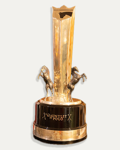 Polo Museum Collections: Gauntlet of Polo