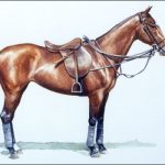 Polo Museum and Hall of Fame Horses to Remember Ragamuffin