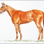 Polo Museum and Hall of Fame Horses to Remember Rotallen