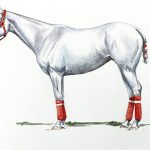 Polo Museum and Hall of Fame Horses to Remember Silverada