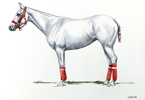 silverada_feature Polo Museum and Hall of Fame Horses to Remember Silverada