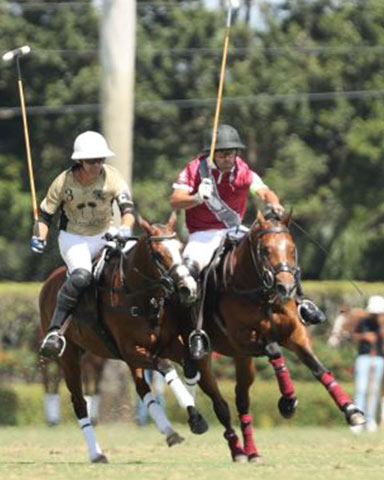 Sport of Polo: The Players