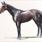 Polo Museum and Hall of Fame Horses to Remember Sue Ellen