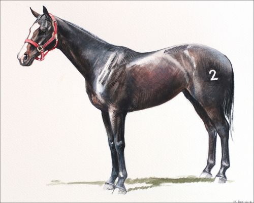 sue_ellen_feature Polo Museum and Hall of Fame Horses to Remember Sue Ellen