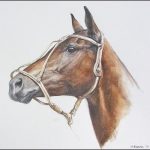 Polo Museum and Hall of Fame Horses to Remember Sweet William