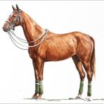 Polo Museum and Hall of Fame Horses to Remember Toy Moon
